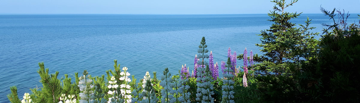 Urlaub Ostküste Kanada